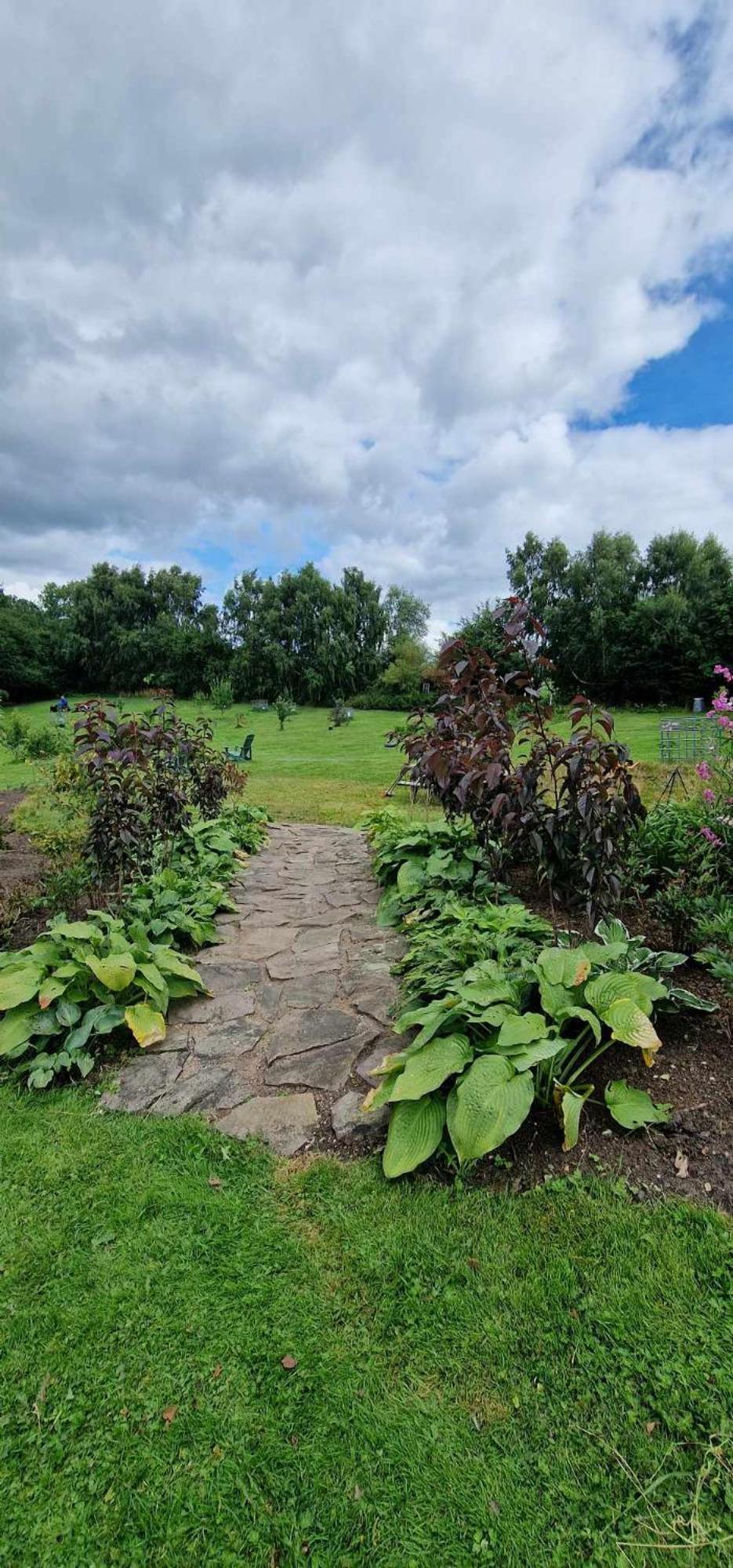 Bed and Breakfast Hos Molsgaarden Knebel Екстер'єр фото