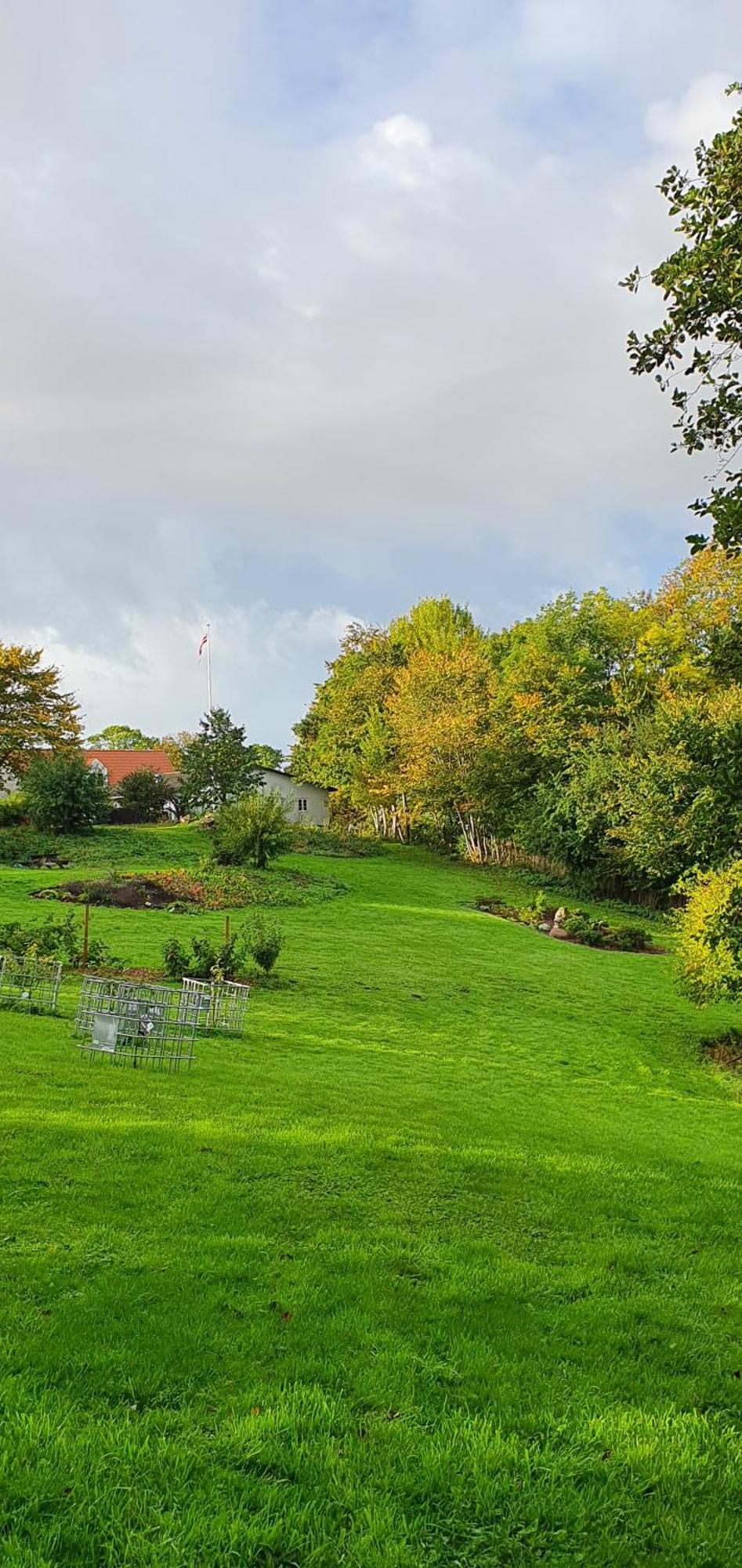 Bed and Breakfast Hos Molsgaarden Knebel Екстер'єр фото