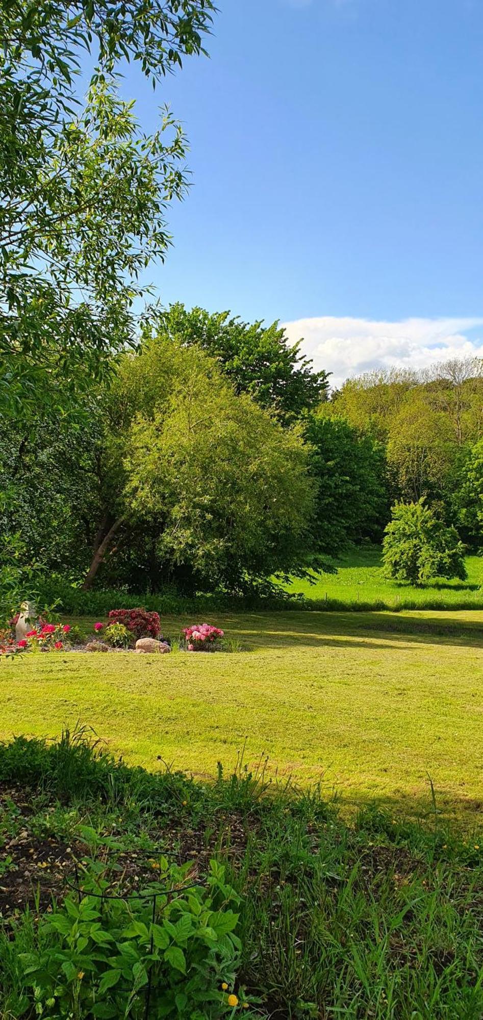 Bed and Breakfast Hos Molsgaarden Knebel Екстер'єр фото